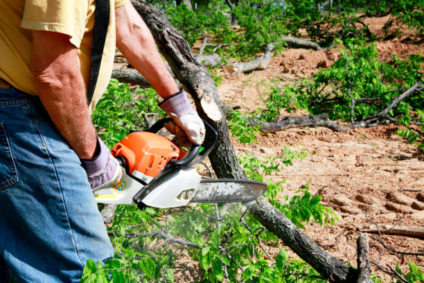 Best Hazardous Tree Removal  in Gretna, VA